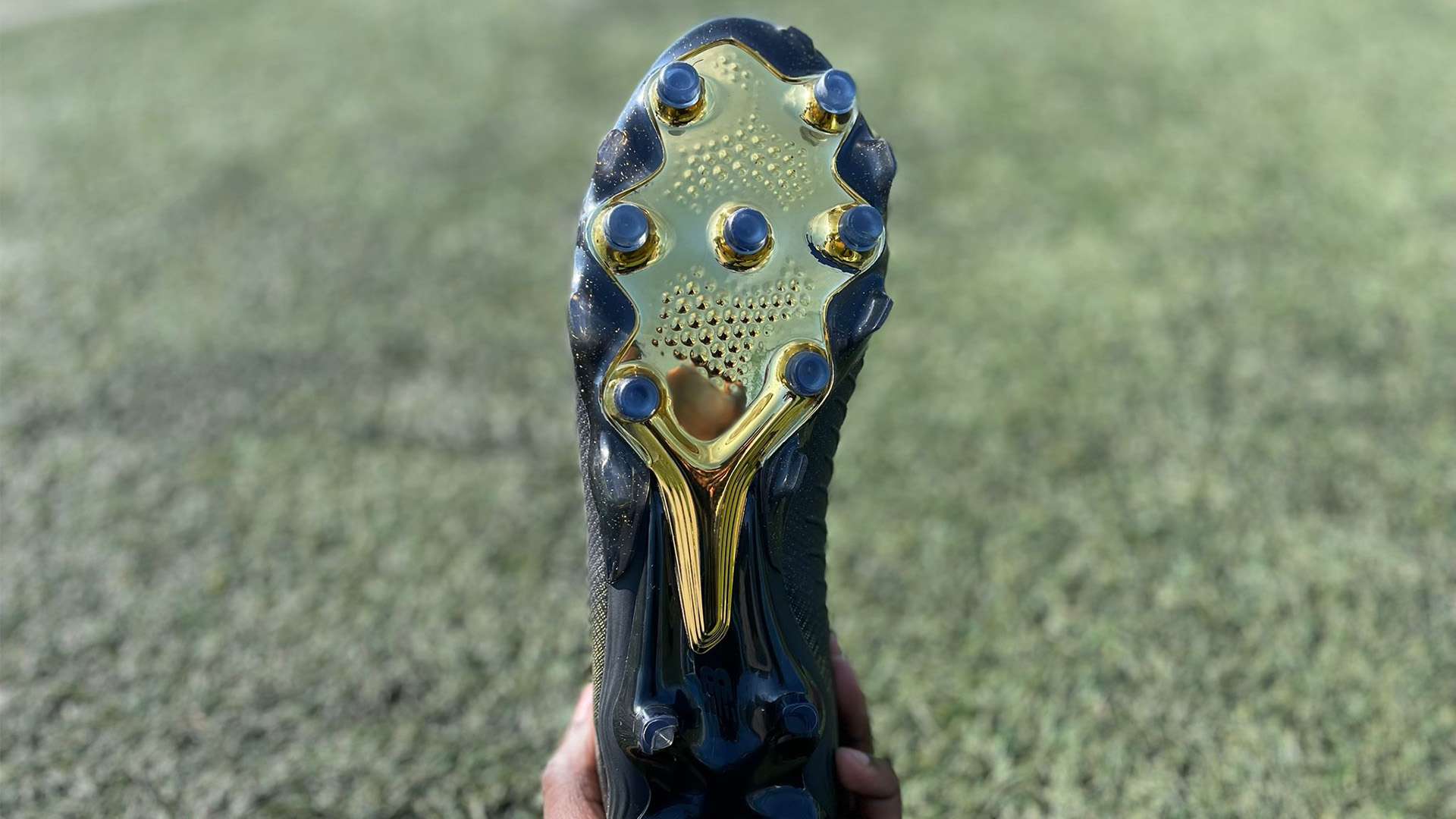 激励了无数 激励了无数